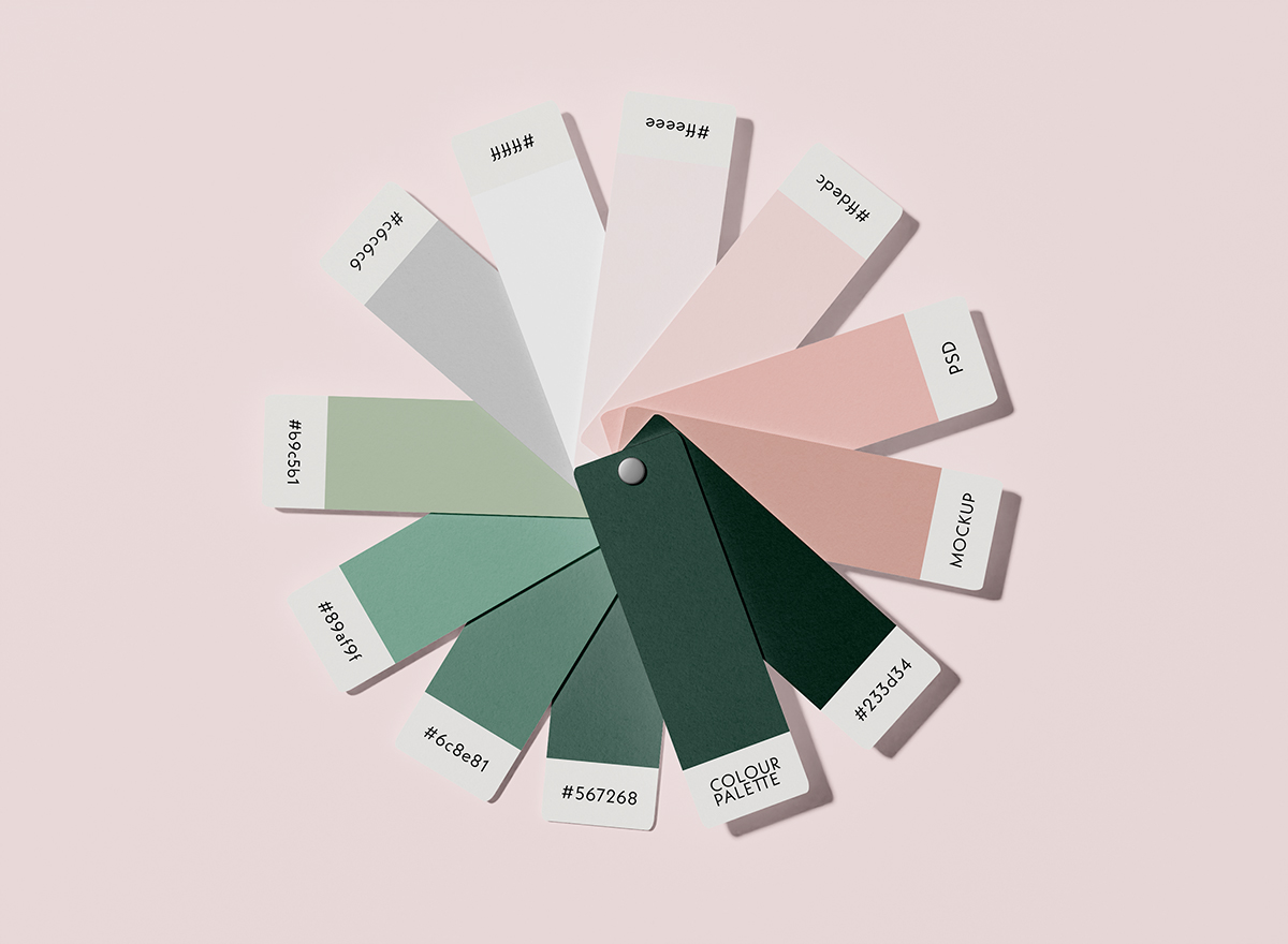 Colour Pallete