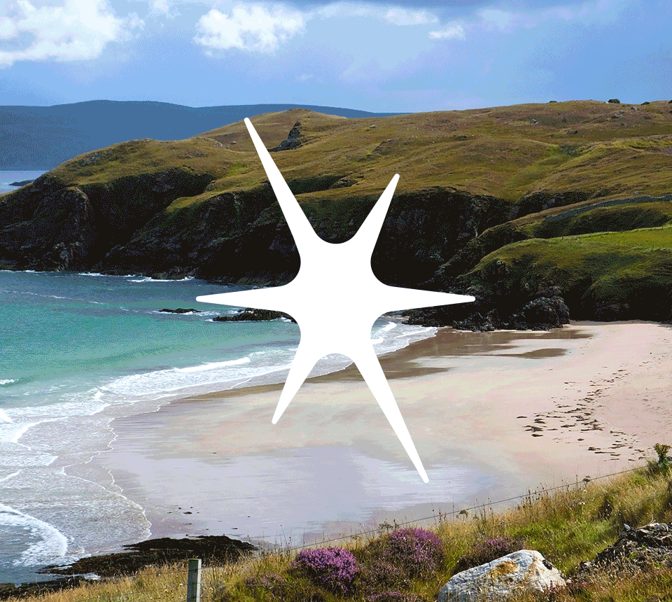 Live North Brand Colour inspiration